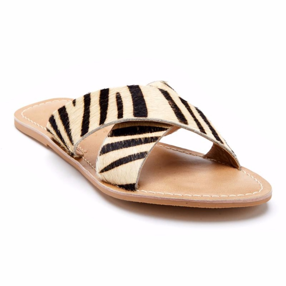 Coconuts by Matisse Pebbles Slide ini Zebra
